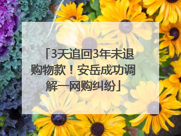 3天追回3年未退购物款！安岳成功调解一网购纠纷